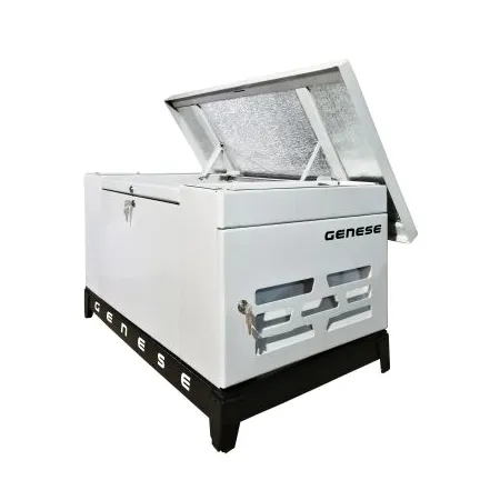 Газовый генератор GENESE STANDARD 6250 (в шумозащитном кожухе)